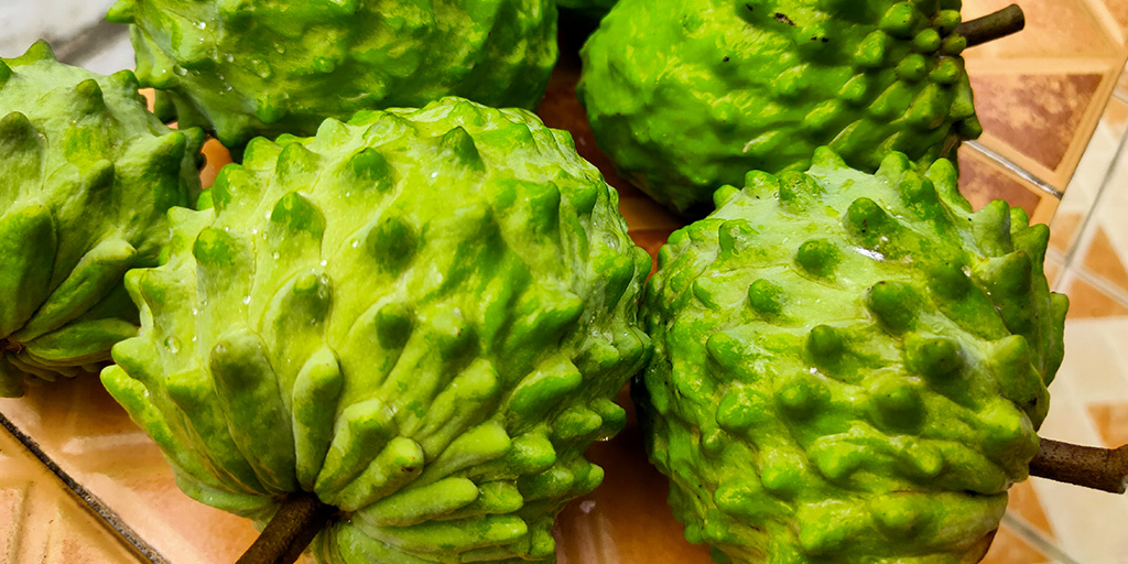 Bright green atemoya with a spiny exterior